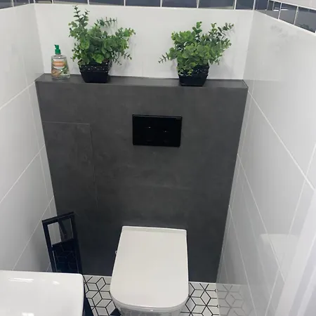 公寓 Lux Apartament 什切青